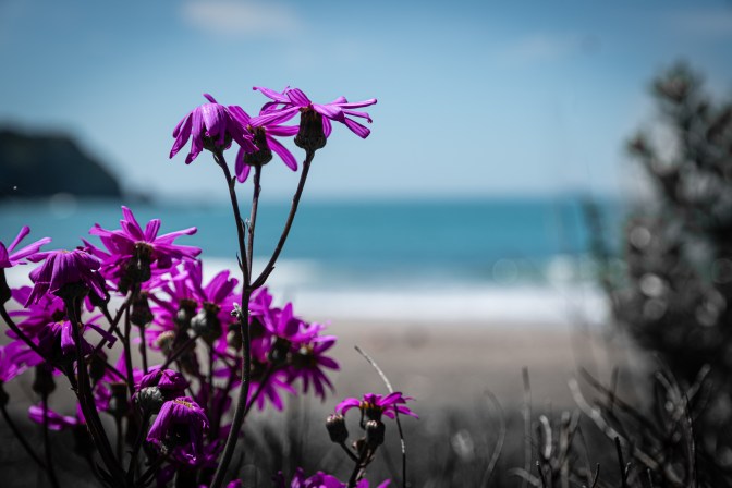 2292619C-5629-40B0-8768-AC6FFEC83697