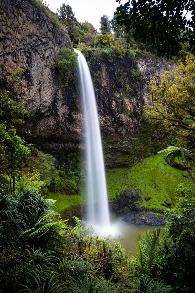 22C178CE-AB04-4764-A9B7-BE8E5521236B