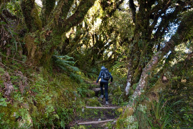 243A9D92-F393-4FB7-922D-03B5D28CEC84