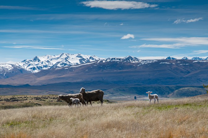 24DB2841-F52F-407F-BA42-1AA88B4B0091