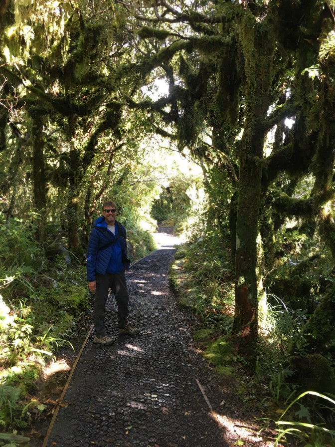 27A9071B-5E56-4188-A13D-B9A65FB85840