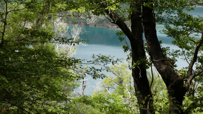 2820B224-37EB-4BC7-AEED-BE3B9BD1FC92