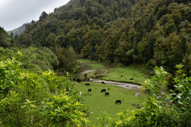 283916FC-8DCB-463F-BBC8-D637D3D1AD63