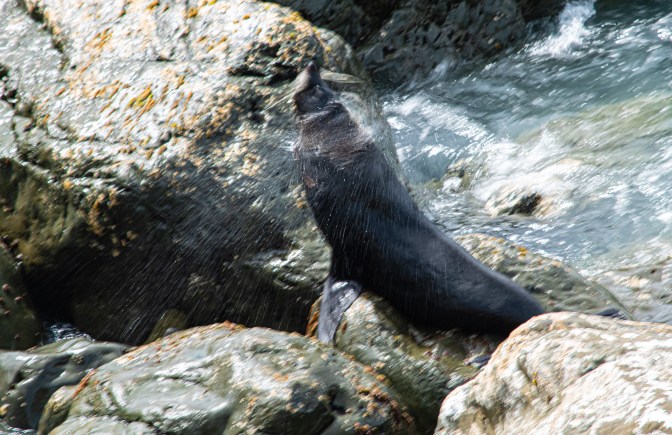 2B7E6438-E83C-4F1F-9C6B-FD10CB8660B7