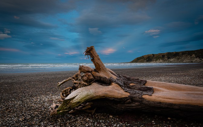 2C81D947-F2E1-433E-B352-B8CCD5792147