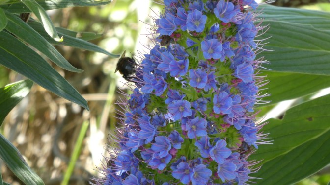 2E65784D-84C6-4BF8-BB50-F299D964D496