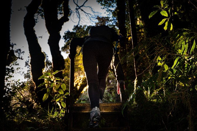 2F9CCAFE-584A-4B40-AEAE-1E1AD7C0E601