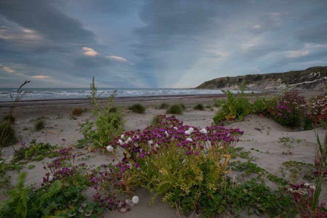 389BA694-A739-4A8A-AD0C-EF9DF0039957