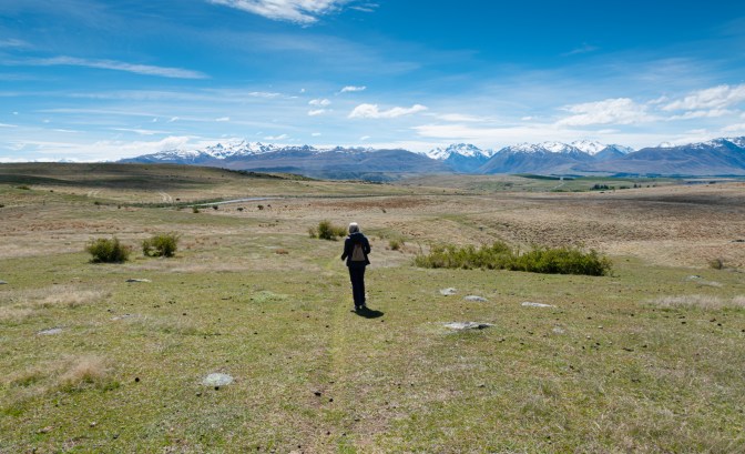 394FD253-2E70-44DC-8E56-6E14070E4BE6