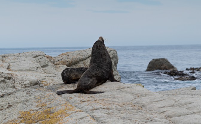 39939C1F-1455-41F0-8E2D-145E0587FB38