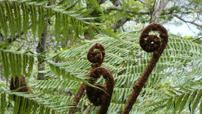 3A8F211F-C0D3-4EB4-9414-D01922E2C61A