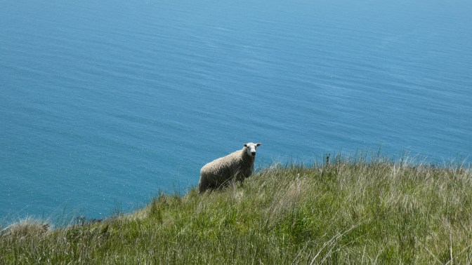 3AB5776F-AFD8-405D-9326-980DF0B407FD