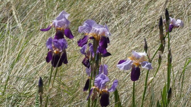 3BB373B9-5E7E-4D71-9599-E78DEE2E88F4