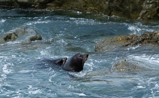 3C3A1DA0-6C09-4D19-BBF0-E916712C7F39