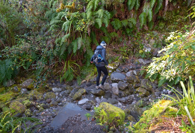 3F7E393F-B143-452C-A91F-3F61AFD4F623