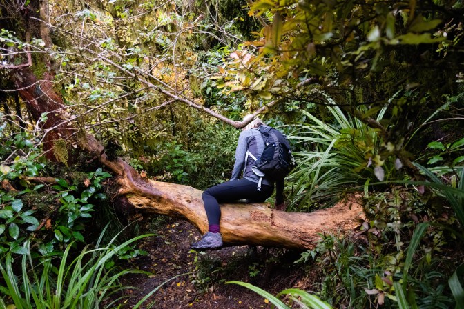 403D20D5-EEDD-4235-BDDE-04614736F0A5