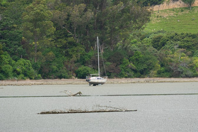 415D2E96-911B-4641-865D-3C62A0DFE299