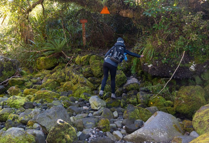 435C64BF-60B7-4200-A644-496734EDB42D