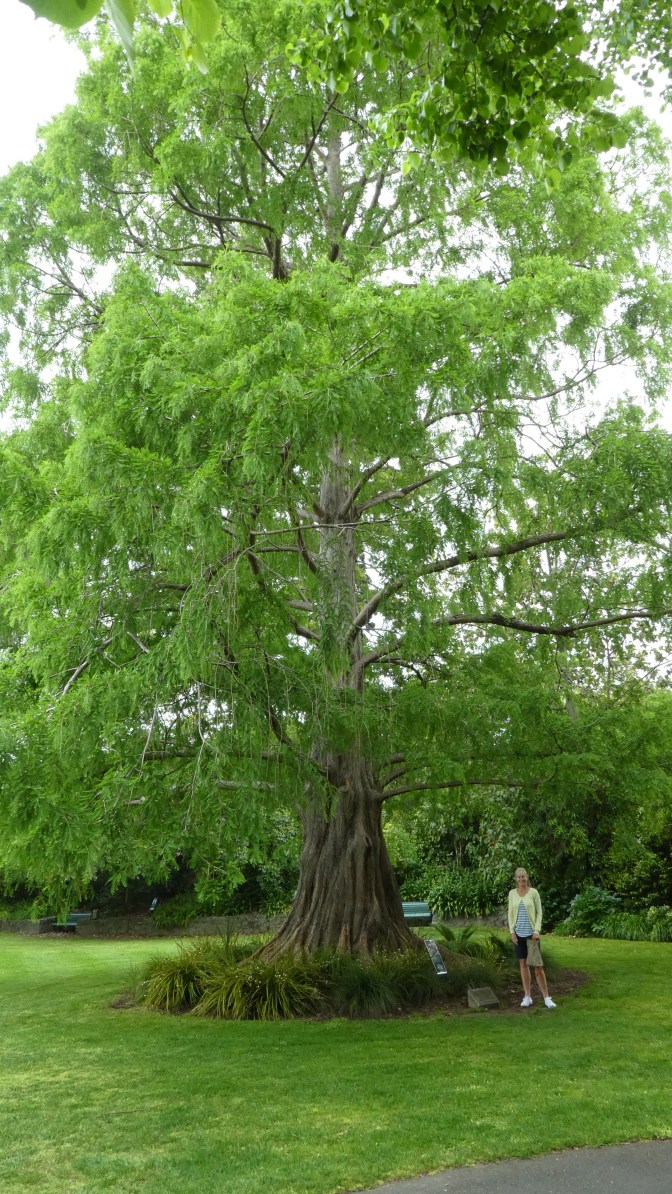 440C8DA9-262F-4574-A9B7-20BCA1358463