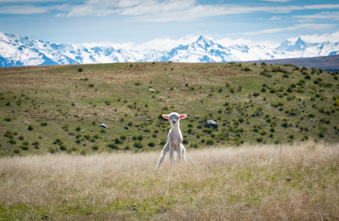 44A3BD20-3980-49C4-8D88-5095E7C8EF98