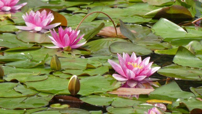 489C7CD3-D624-4573-B837-86F82FF3AD57