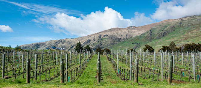 4B6770C7-DEA6-4338-9E94-74B781058398