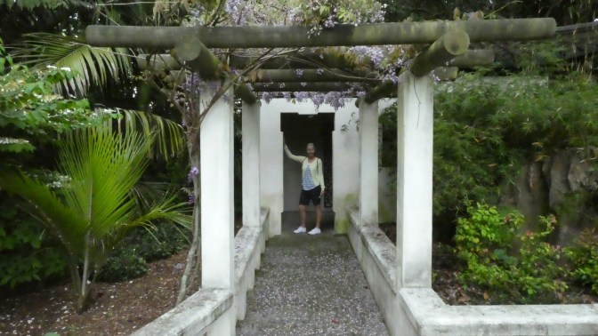 5926FCB9-D939-4A6C-B338-63673D4E25D6