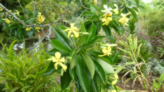 59578019-988F-4608-AB4D-AD973CDA1DDD