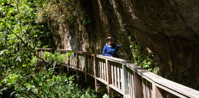 598C1E22-3A71-4CB0-9B66-6B8F9F61D5F2