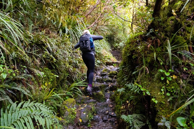 5A00130A-9640-44DC-B83F-CDC8AD7C5D0E