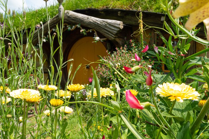 5CF3663A-D1F1-4090-B41A-22F82344F271