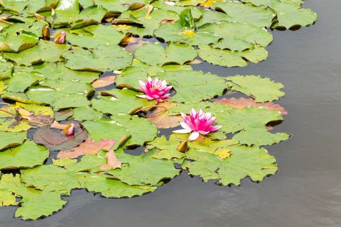 66525A7A-C667-4E54-97F0-5A6086563C63