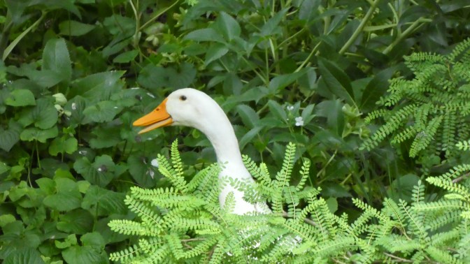 66545C9B-8465-41E8-82EA-0832255E402B