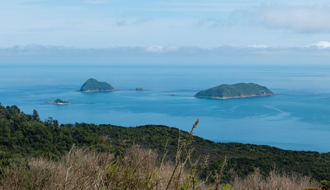 685A0BA0-59DB-419A-920B-670488FE4294