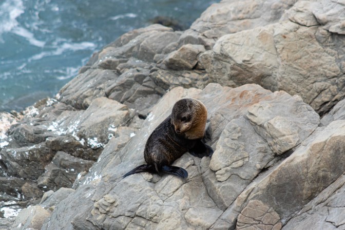 6BE4ECC5-5996-429F-A8C4-31A2EC943F7D