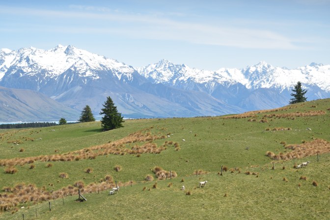 6BEE5C9B-3450-430F-A105-211DBF9D22B9