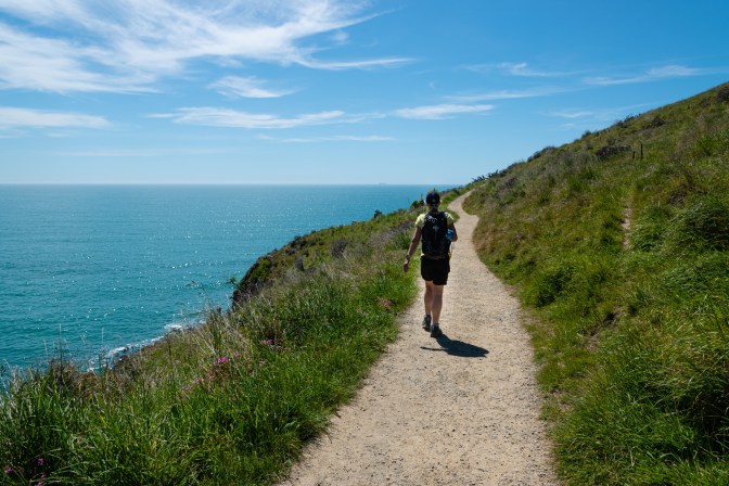 6C0F3183-EE65-4532-887D-F9BA33FB6078