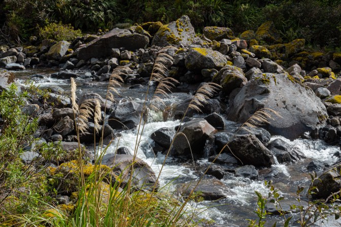 6C627FF9-F570-45FB-90E0-073D9408D0CE