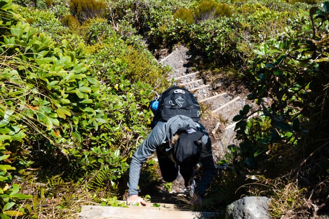 6EB849F0-AB78-4564-8C51-D84A6C76EE92