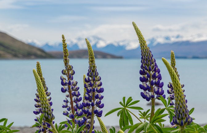 701FD7ED-3E02-45E5-9386-A0852128F00F