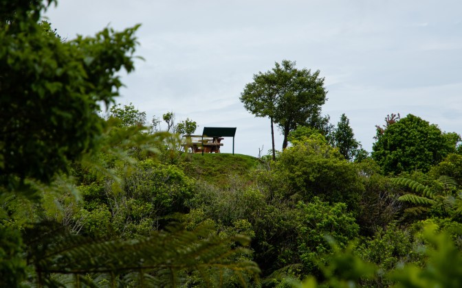 72D650A5-D784-496C-97C2-82A601E6A62E