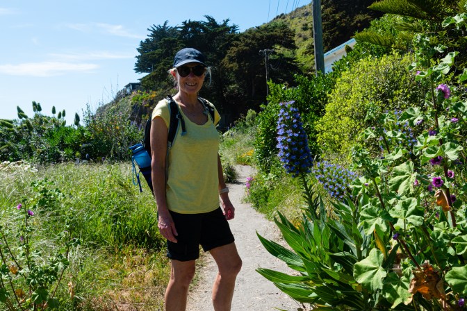 737EC5E5-7049-4C2A-A578-FDC392DBEA56