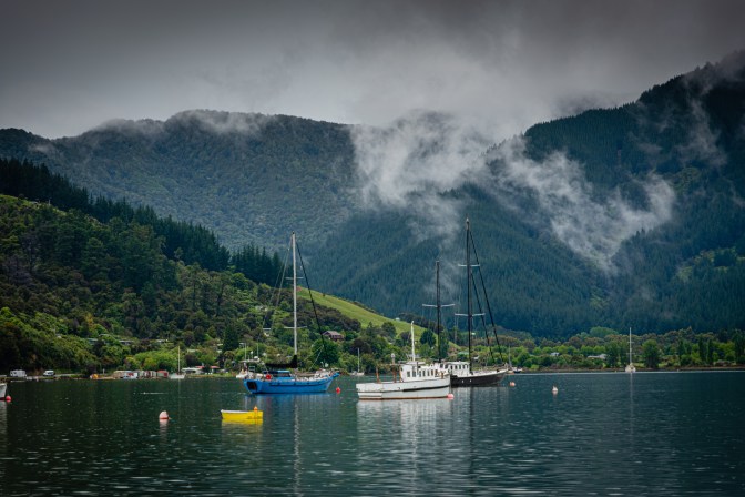 74254EA2-67CB-43C6-8308-CABC304CE9E3