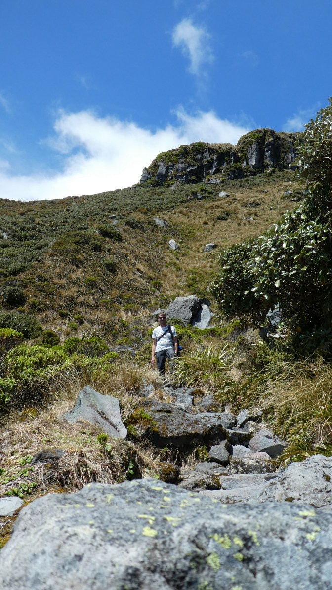 74D99F8C-5C5D-4755-AEA2-327A744A946E