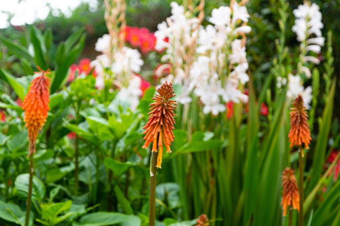 7BE6BBBD-062C-40BF-8EA4-AFDB8408A243