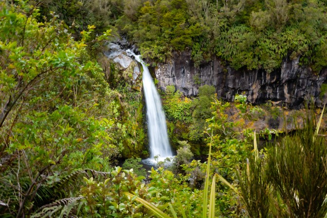 7BEF2E77-1175-4588-843F-328212C53114