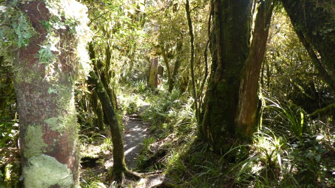 8024FC38-656E-4BC6-AB61-D96B230131B0