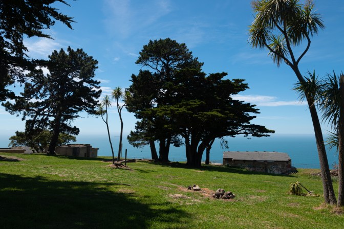 808F00D5-BAB3-4A6F-A119-70CADFE145B8