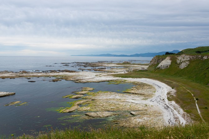 86B2458A-E48E-4015-8127-F4172CF89616