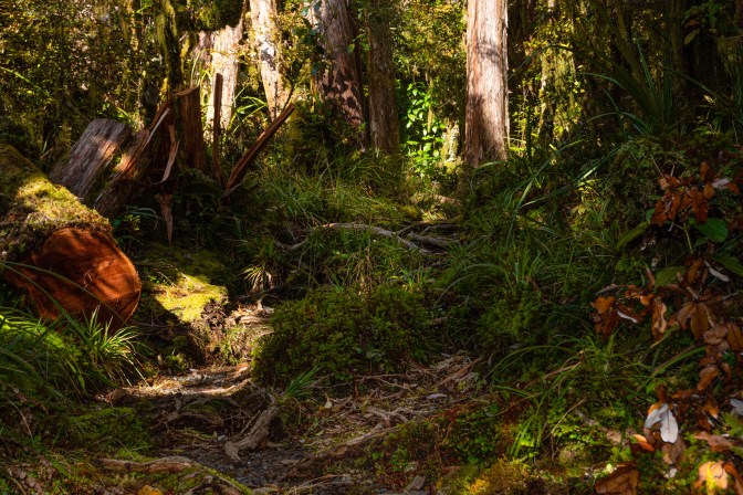 87A08C06-833A-428D-8BC2-957A52E2EF57